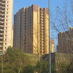 春秋体育赛事集锦